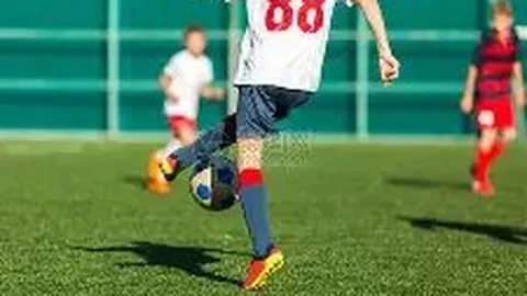 乐竞体育 产品 101558 bwp